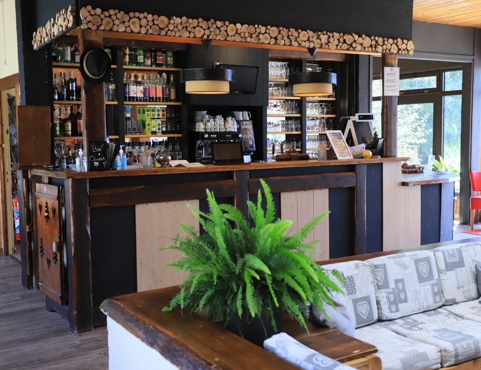 Séminaire au vert Neaclub, bar Les Cimes du Léman