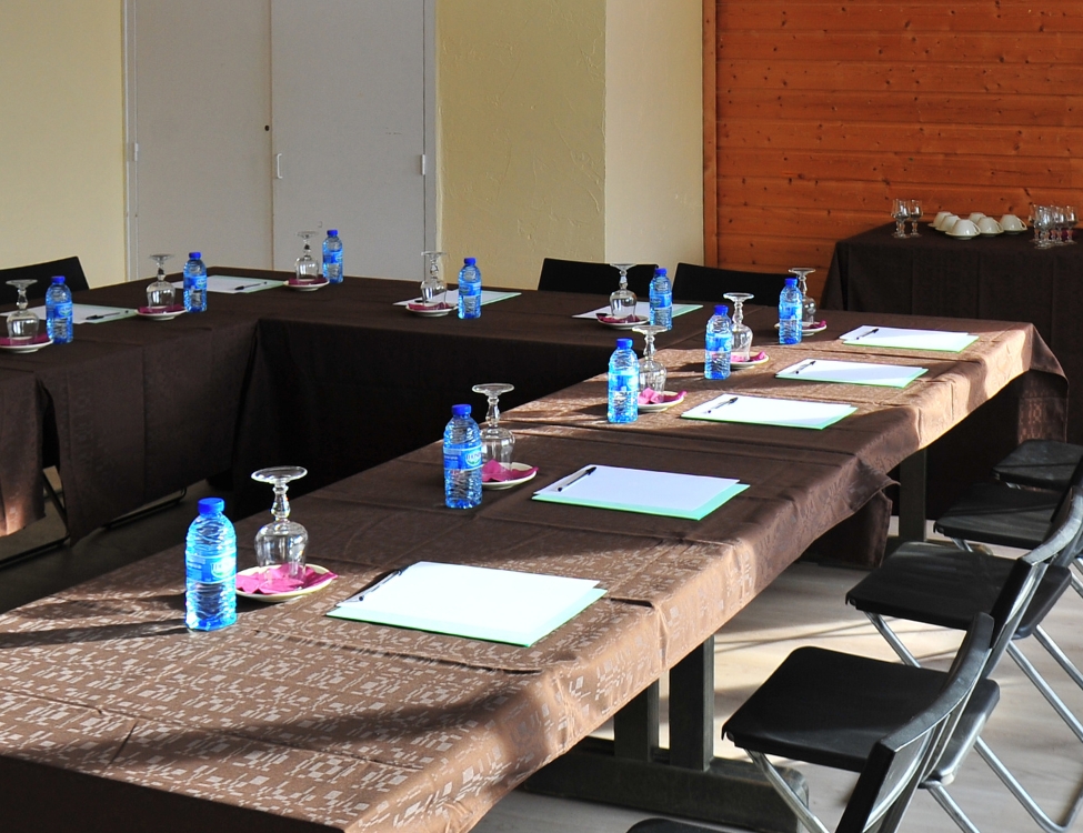Séminaire au vert Neaclub, salle de réunion Les Cimes du Léman